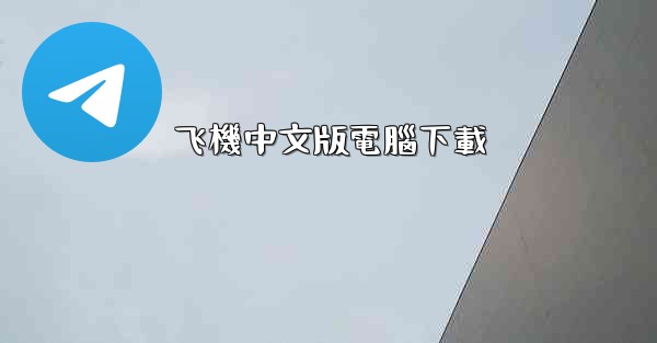 飞機中文版電腦下載