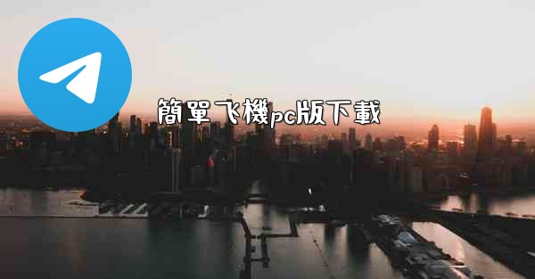 簡單飞機pc版下載