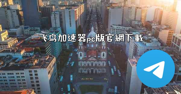 飞鸟加速器pc版官網下載