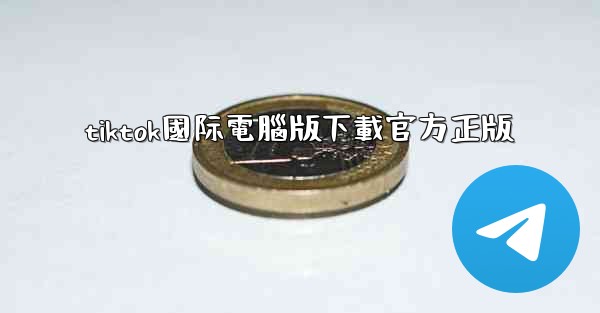 tiktok國际電腦版下載官方正版