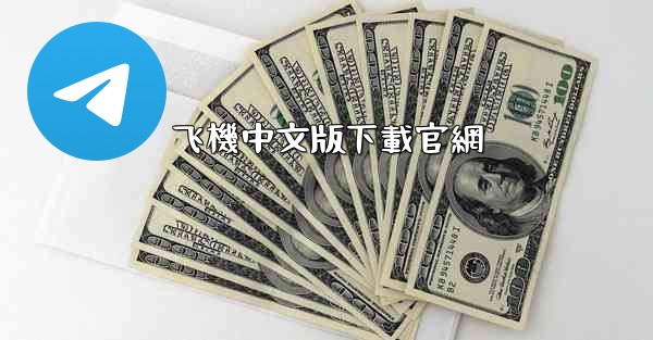 <b>飞機中文版下載官網</b>