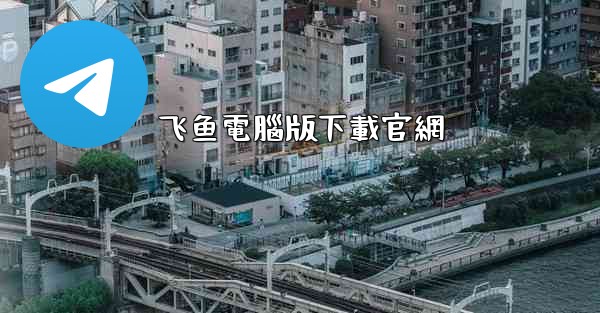 飞鱼電腦版下載官網