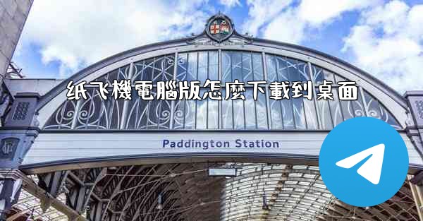 纸飞機電腦版怎麼下載到桌面