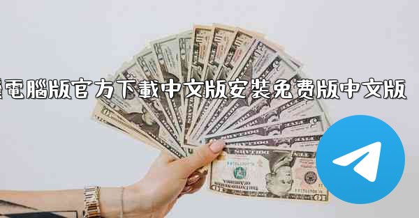 飞機電腦版官方下載中文版安裝免费版中文版