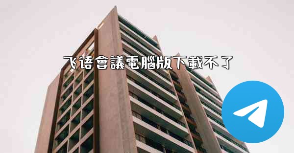 飞语會議電腦版下載不了