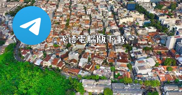 飞语電腦版下載
